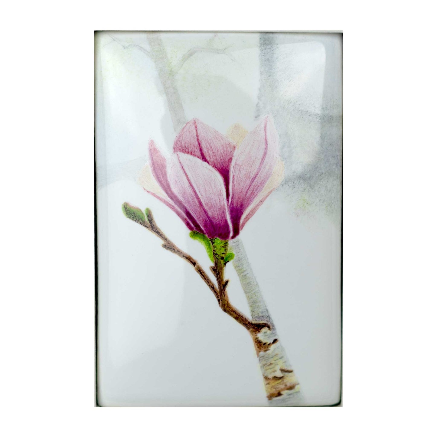 Magnolia Blossom