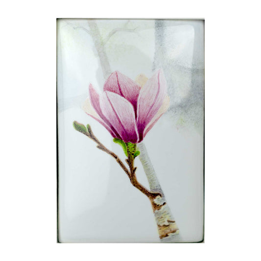 Magnolia Blossom